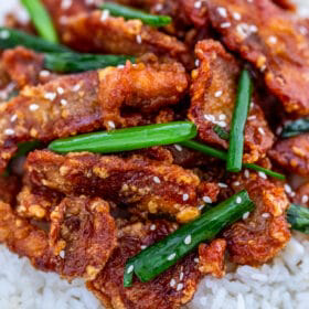 Mongolian Chicken Recipe - Sweet and Savory Meals