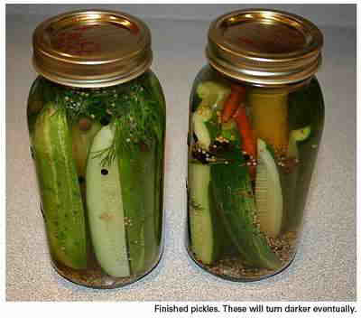 Easy Spicy Garlic-Dill Pickles