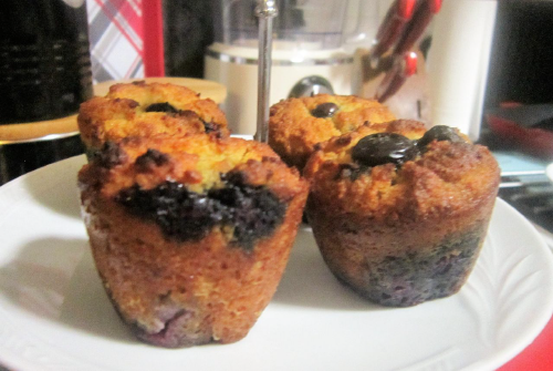 BLUEBERRY MUFFINS with COCONUT FLOUR