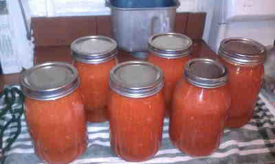 Homemade Bloody Mary Mix (for canning)
