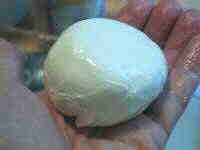 Mozzarella (American) from David B. Fankhauser