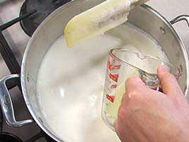 Homemade Ricotta Cheese 2
