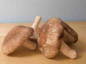 Roasted Mushrooms from Americas Test Kitchen