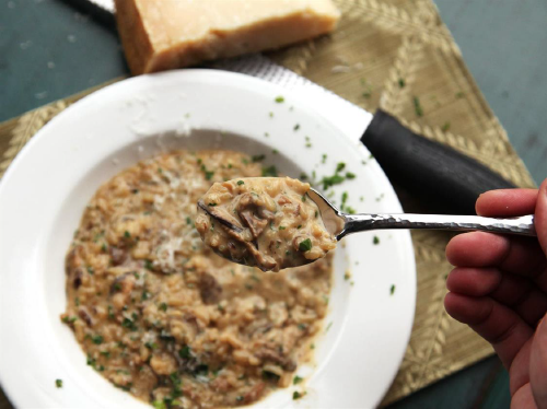 Mushroom Risotto in Instant Pot from Kenji