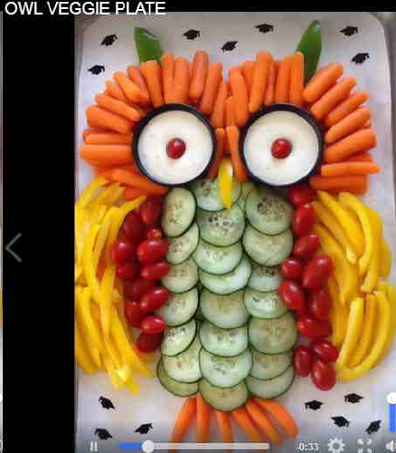 Veggie Plate Owl