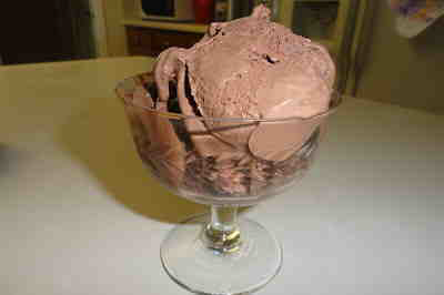 Chocolate (Dark) Custard Ice Cream - Mary's