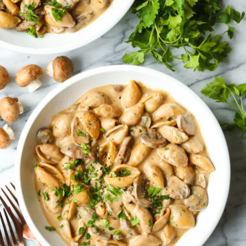 Mushroom Stroganoff 1