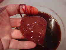 Mother of Vinegar from Frankhauser