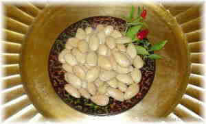Marcona Almonds - Mary's