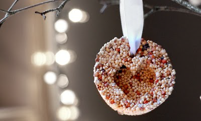 bird seed ornaments