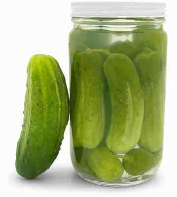 Dill Pickles - No fermenting