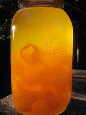 Triple Sec - Mary's Homemade