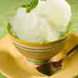 Grapefruit Sherbet
