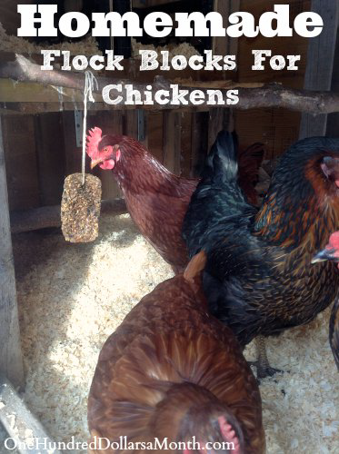 Flock Blocks For Chickens Homemade