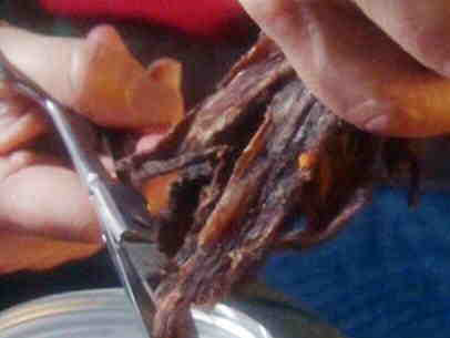 Beef Jerky from Alton Brown
