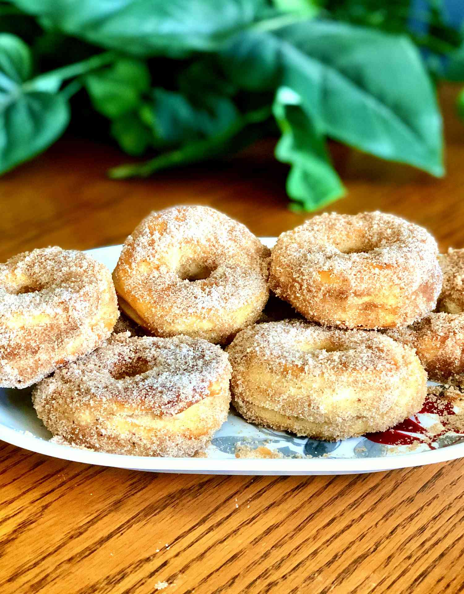 Baked Cinnamon-Applesauce Doughnuts