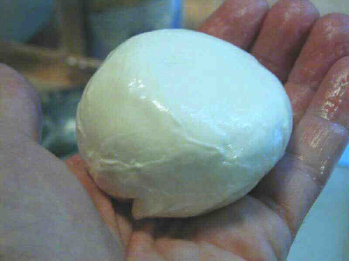 Mozzarella (Italian) from David B. Fankhauser, Ph.d.