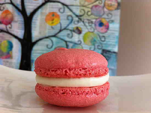 French Macarons by Ann Reardon