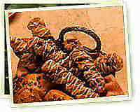 Cinnamon Twists