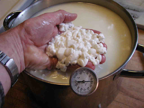 Mozzarella (pasta filata) from David B. Fankhauser
