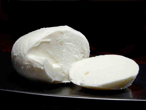 Mozzarella Cheese Making Recipe