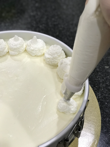 Whipped Cream that Holds Its Shape
