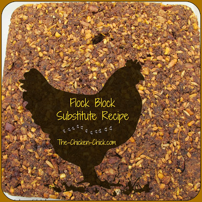 Flock Block Substitute Recipe. Healthy Boredom Buster for Chickens