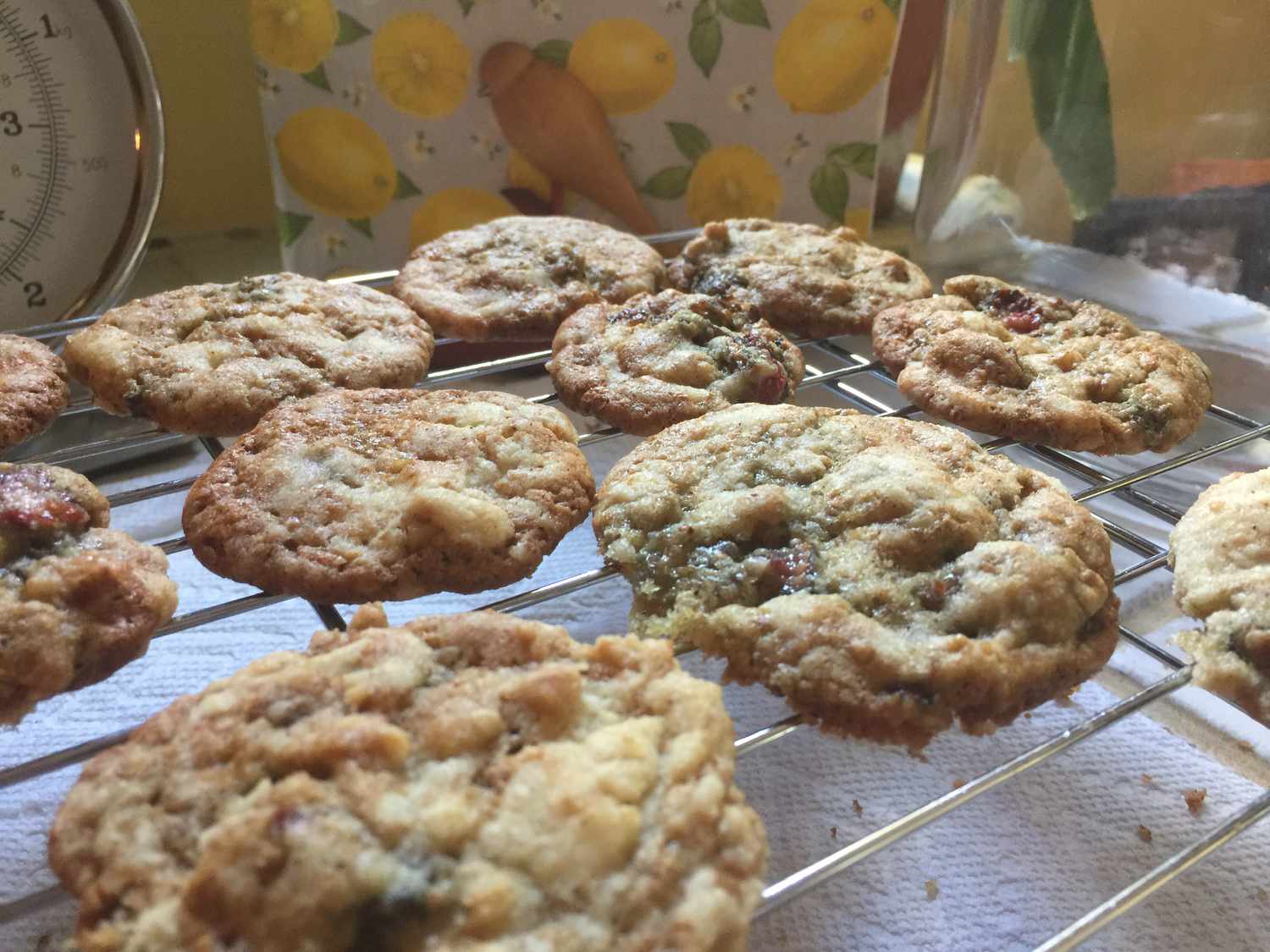 Fig Cookies - Sicilian Cuddureddi