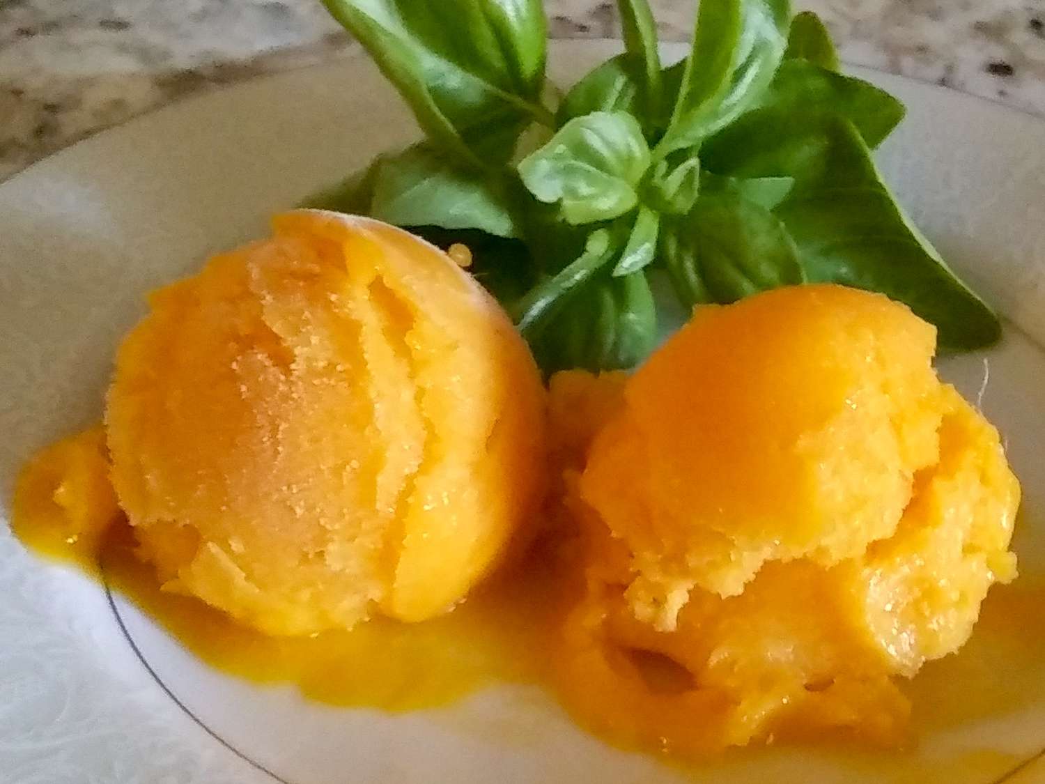 Fruit Sorbet