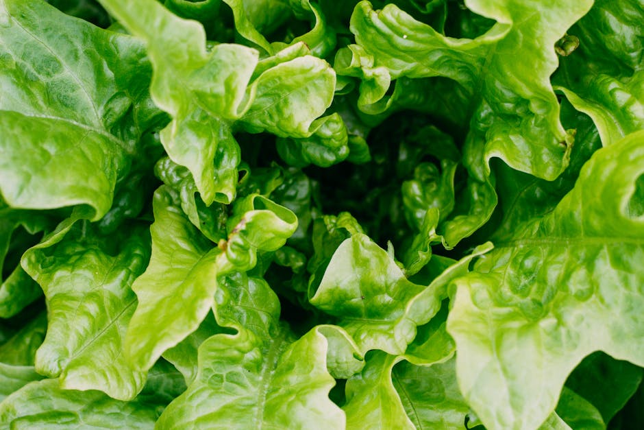 Garden Greens With Swordfish