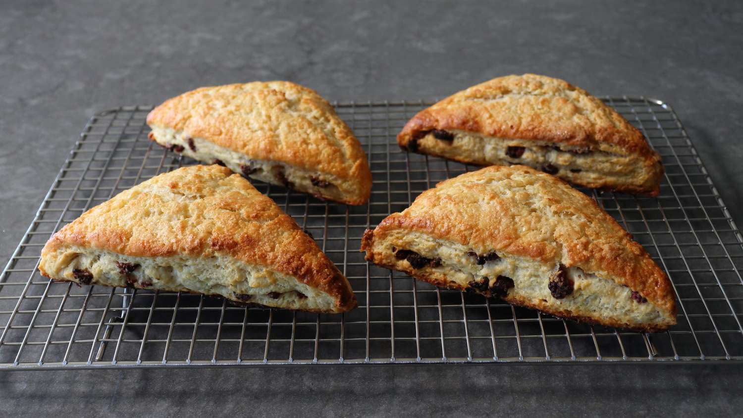 Thick and Chewy Chocolate Chip Cookie Bars